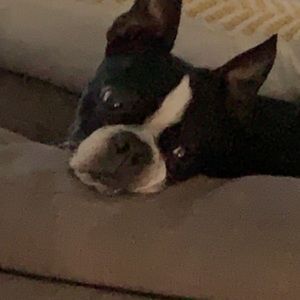 Meet your Posher, John